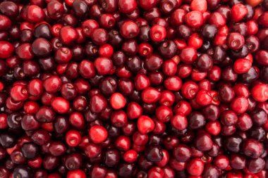 Olgun kırmızı kiraz