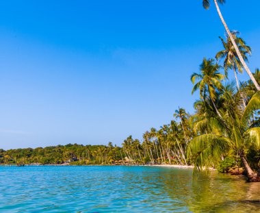 Güzel tropikal plaj