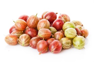 yeşil ve kırmızı bektaşi