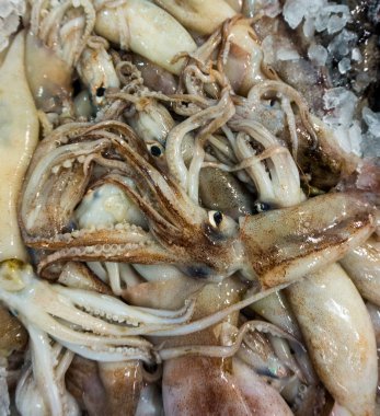 pazarda taze kalamar