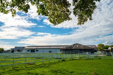 Geniş görüşlü profesyonel bir at biniciliği tesisi büyük beyaz bir ahır donanımlı