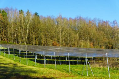 Çevre dostu teknoloji ve yenilikleri temsil eden ağaçlarla kırsal alana kurulmuş sürdürülebilir fotovoltaik enerji santrali