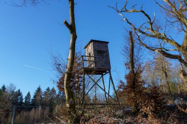 Güneşli bir kış ormanında açık mavi bir gökyüzünün altındaki çıplak bir ağaca bağlı eski bir ahşap avcılık standı veya yüksek bir merdiven dikey görünümü