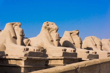 Luxor Amun Tapınağı