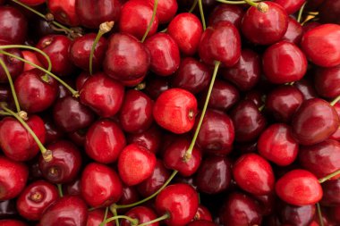 Olgun kırmızı kiraz