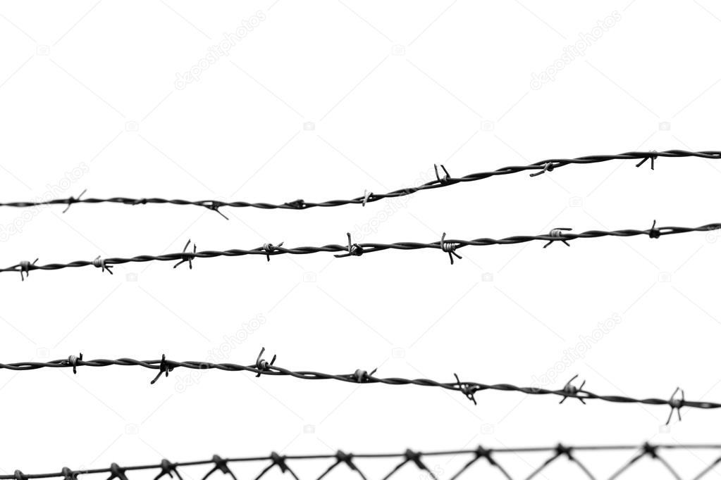 Metal Barbed Wires