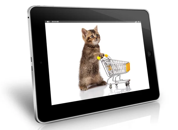 ショッピング カートとイギリスの猫 — ストック写真