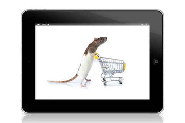 Rato com carrinho na tela do tablet — Fotografia de Stock