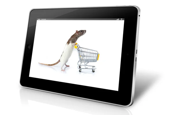 Rat med vagn på Tablet PC-skärmen — Stockfoto