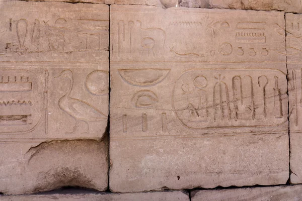 Egyptské hieroglyfy na kamenné zdi. — Stock fotografie