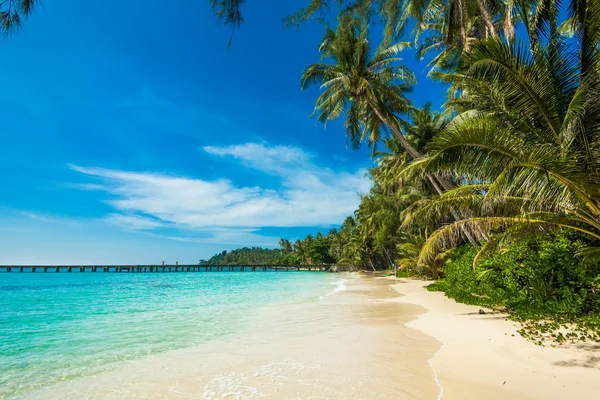 Hermosa playa tropical — Foto de Stock