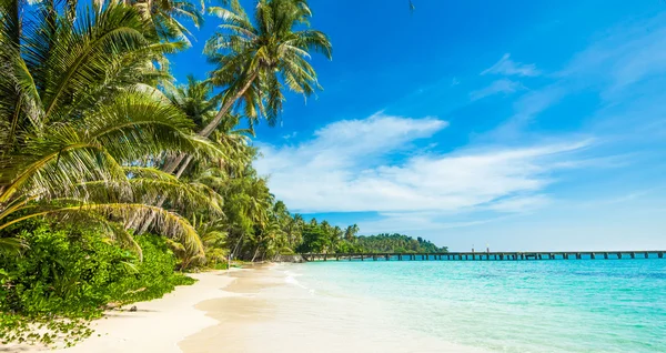 Vacker tropisk strand — Stockfoto