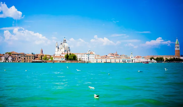 Basilica Santa Maria della Salute — Stock Photo, Image