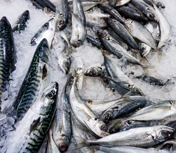 Fresh raw  fish in the market. — Stock Photo, Image