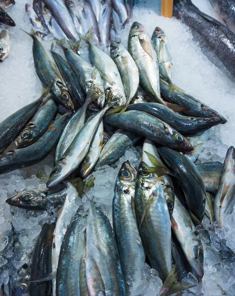 Fresh raw  fish in the market. — Stock Photo, Image