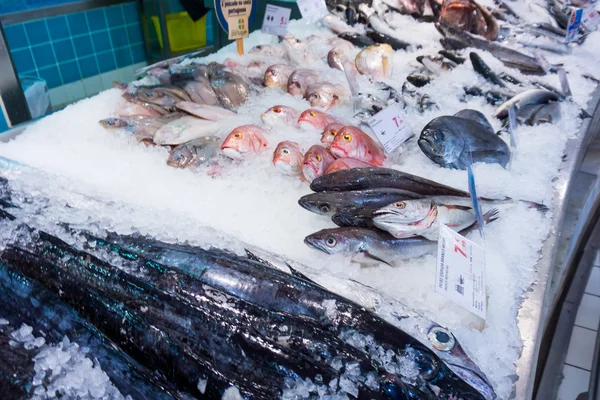 Frischer roher Fisch auf dem Markt. — Stockfoto