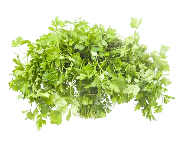 Salsa verde fresca — Fotografia de Stock