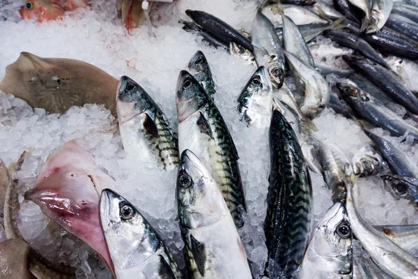 Fresh raw  fish in the market. — Stock Photo, Image