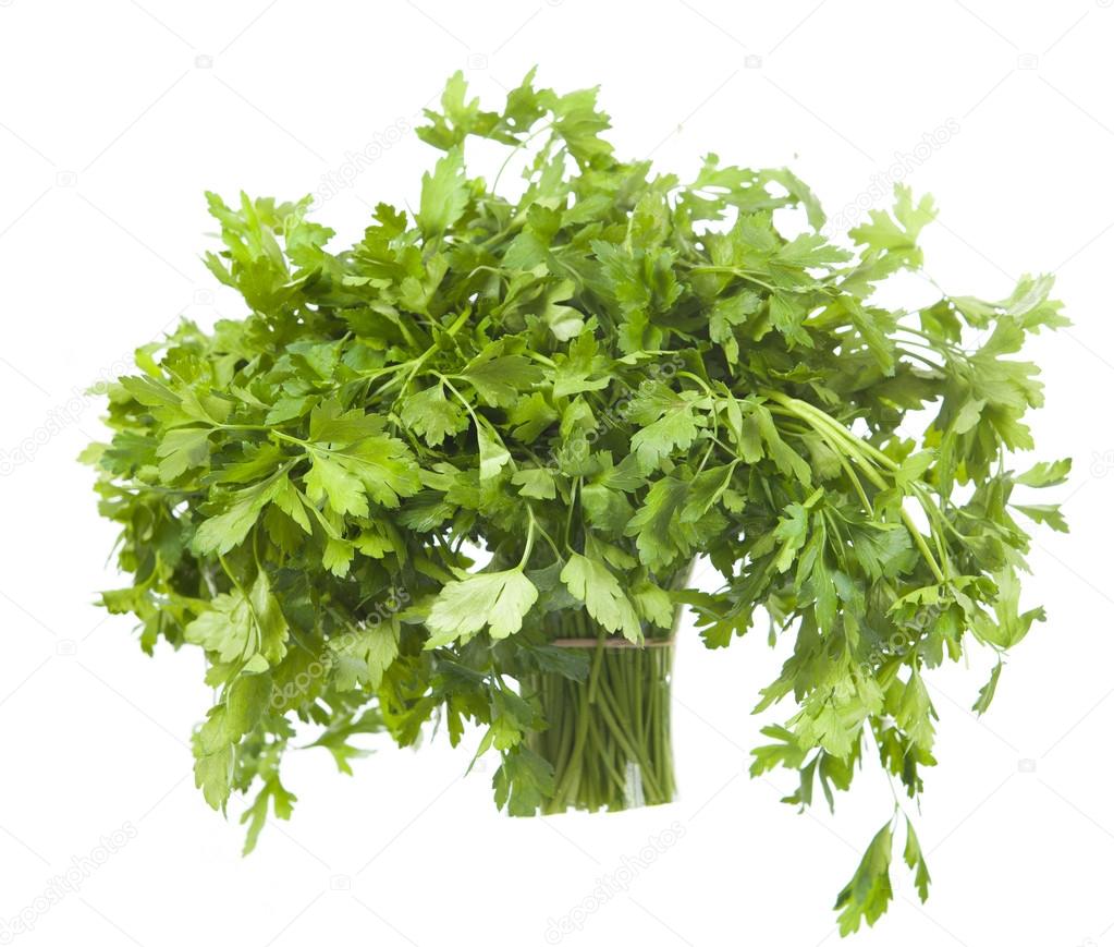 Fresh green  parsley