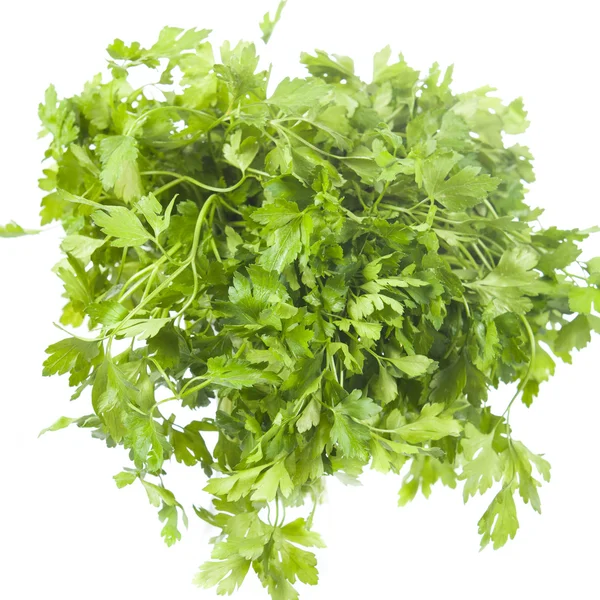 Salsa verde fresca — Fotografia de Stock