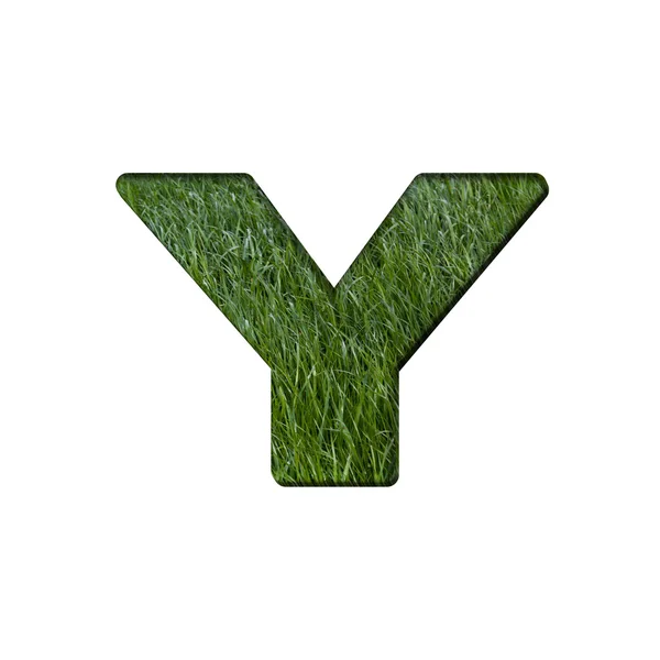 Letter y of grass alphabet — Stock Photo, Image
