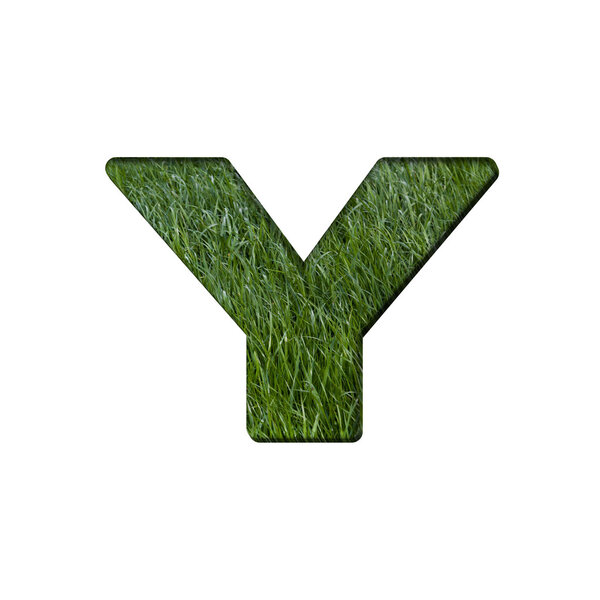 Letter y of grass alphabet