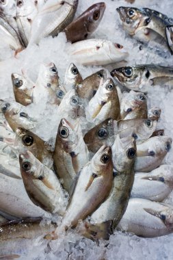 Pazarda taze çiğ balık.