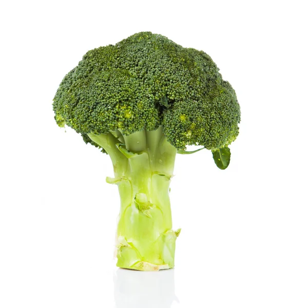 Friss zöld brokkoli — Stock Fotó