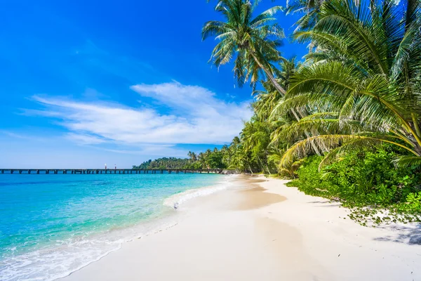 Vacker tropisk strand — Stockfoto