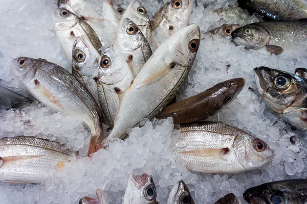 Fresh raw  fish in the market. — Stock Photo, Image