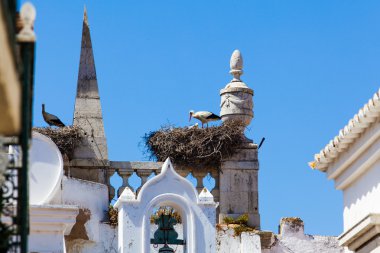 Leylek kilise çatısına iç içe geçirme