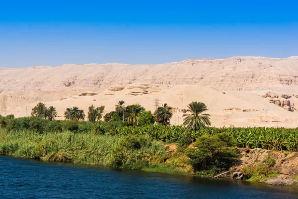 Mısır 'da Nil Nehri — Stok fotoğraf