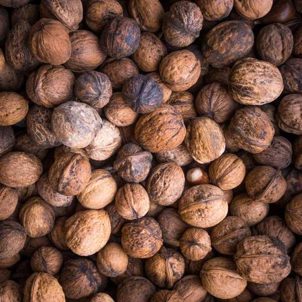 Unshelled walnuts texture — Stock Photo, Image