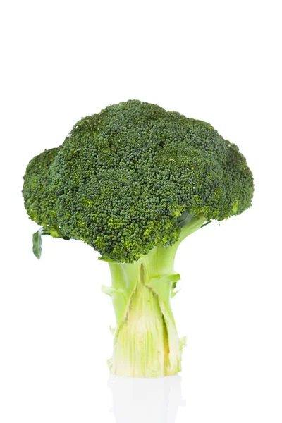 Fresh green Broccoli — Stock Photo, Image