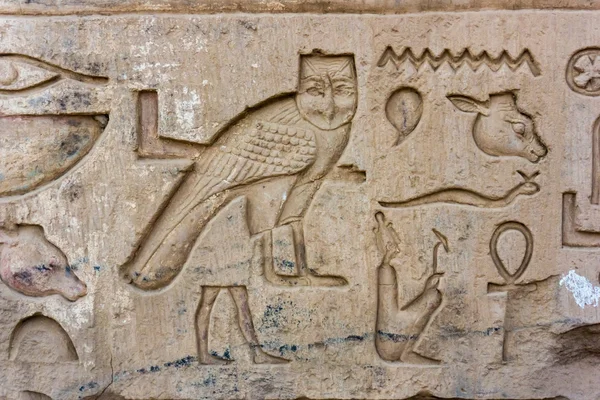 Oude Egyptische hiërogliefen — Stockfoto