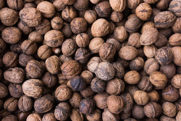 Textura de nueces sin cáscara — Foto de Stock