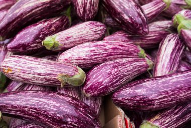 mor çizgili patlıcanlar