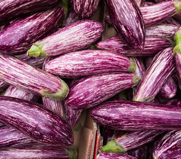 Purple striped eggplants — Stock Photo, Image