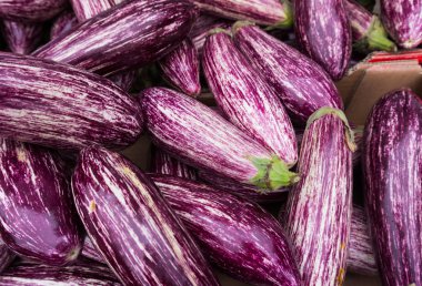 mor çizgili patlıcanlar