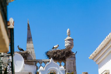 Leylek kilise çatısına iç içe geçirme
