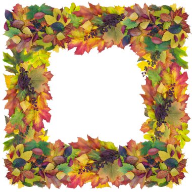 sonbahar kare çerçeve