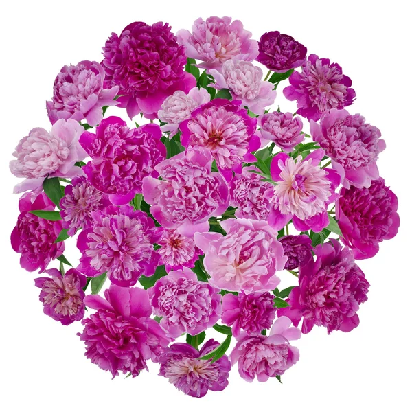 Wedding wreath of pink peonies — Stock Photo, Image