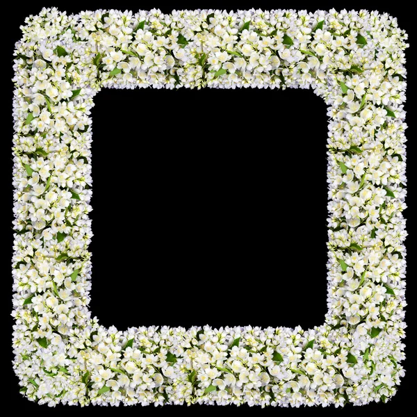 La cornice cimitero lutto da fiori di gelsomino bianco — Foto Stock