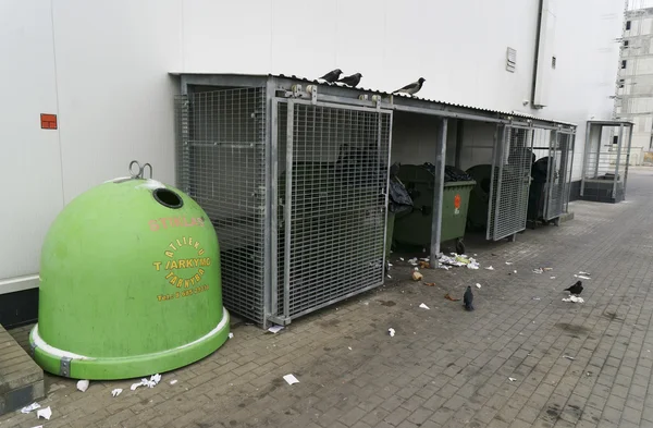 Aves y contenedores de basura cerca de la tienda — Foto de Stock