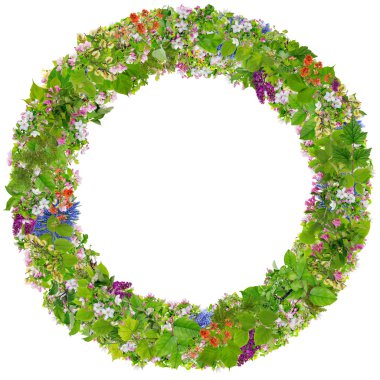 Yeşil Easter izole fotoğraf çerçevelemek yuvarlak