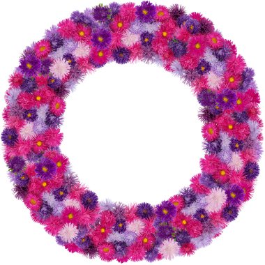 Aster izole--dan yuvarlak çerçeve