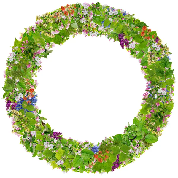 Yeşil Easter izole fotoğraf çerçevelemek yuvarlak