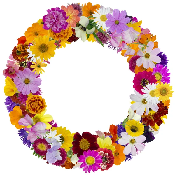 Round floral summer frame — Stock Photo, Image