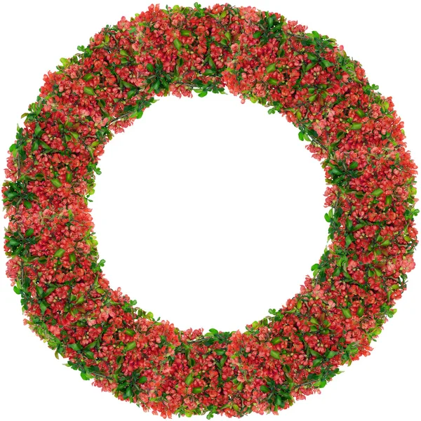 Yuvarlak kare kırmızı bahar dalları