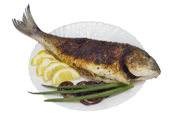 Grill mare grouper pește — Fotografie, imagine de stoc